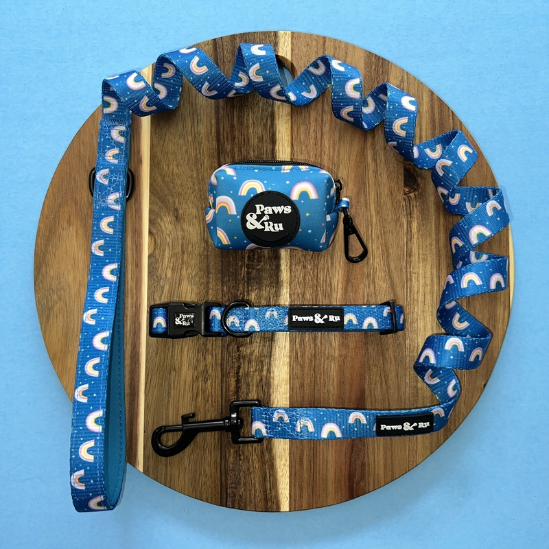 Dog and Puppy Accessory Combos