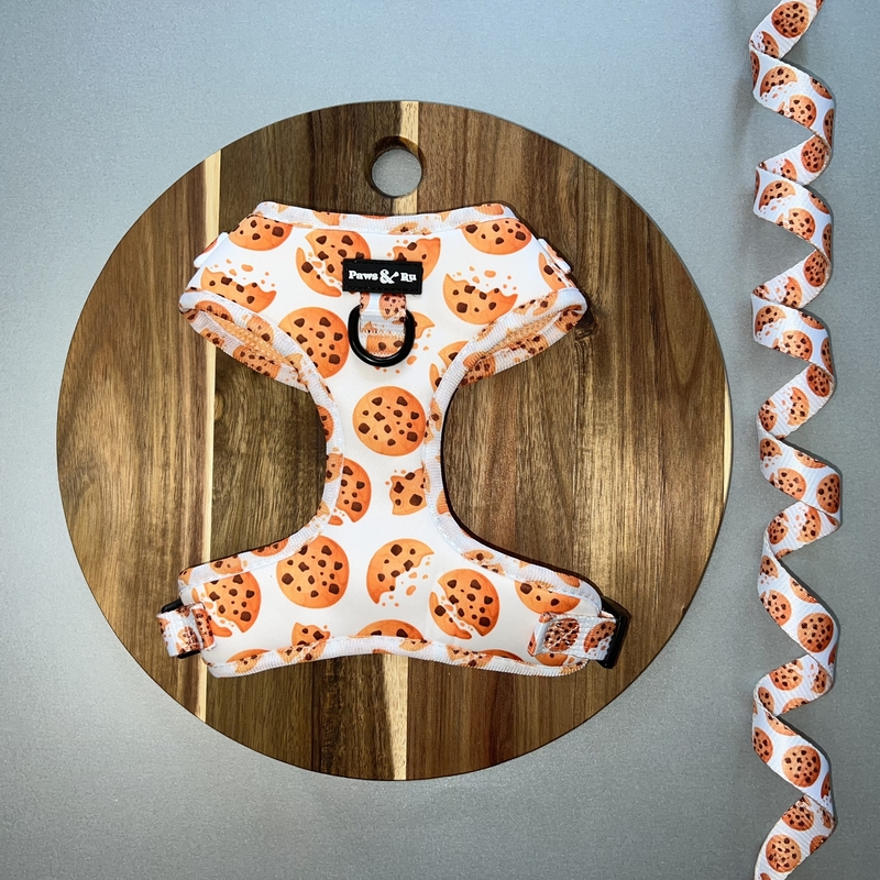 Dog and Puppy Harnesses