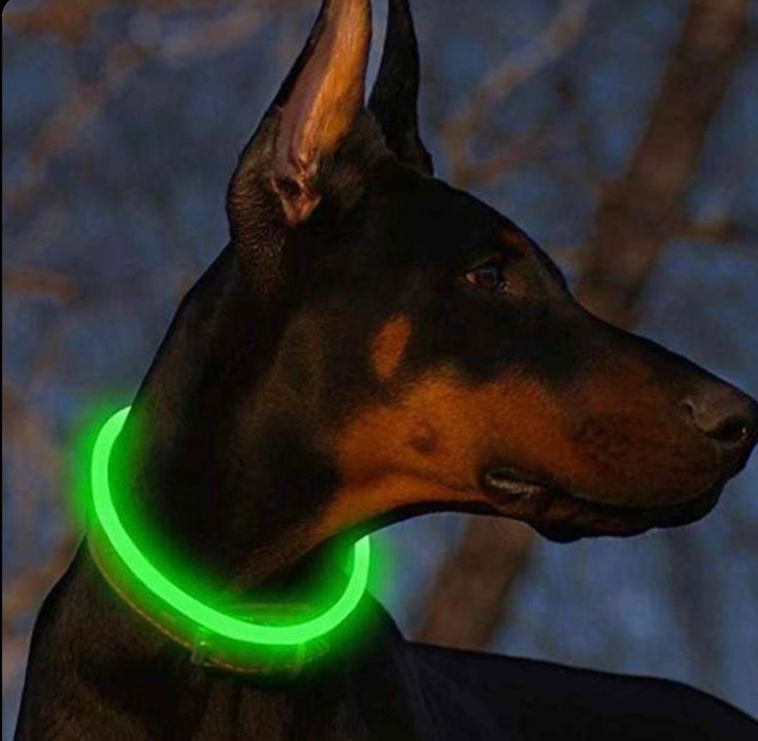 Light up dog collar - Image 3